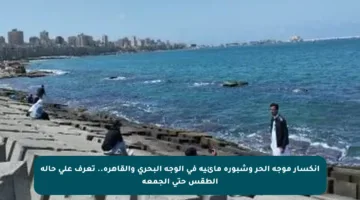 انكسار موجة الحر وشبورة مائية في الوجه البحري والقاهرة.. تعرف على حالة الطقس حتى الجمعة
